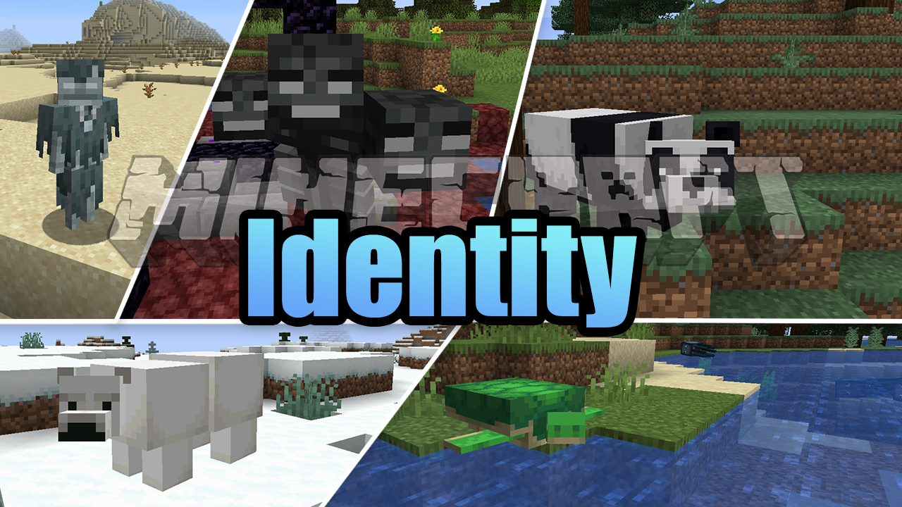 Identity Mod for Minecraft